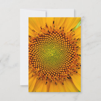 Sonnenblume Einladung