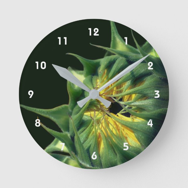 Sonnenblume entfaltet sich Blütenhaft Runde Wanduhr (Vorderseite)