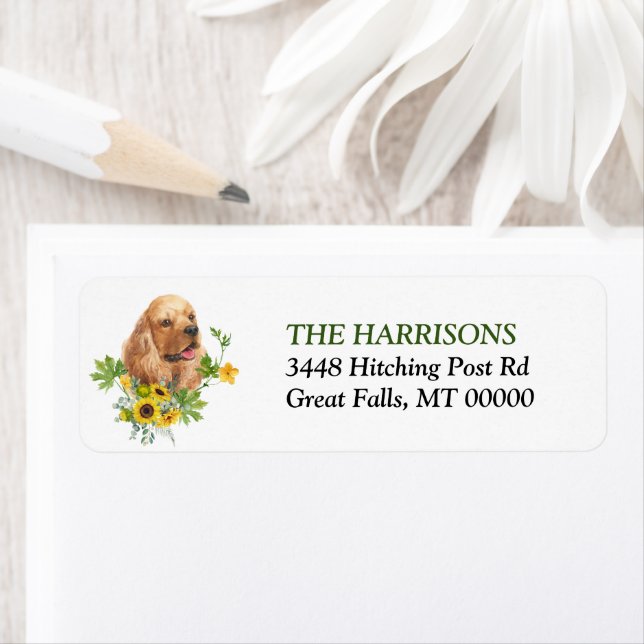 Sonnenblume Eucalyptus Buff Cocker Spaniel (Insitu)