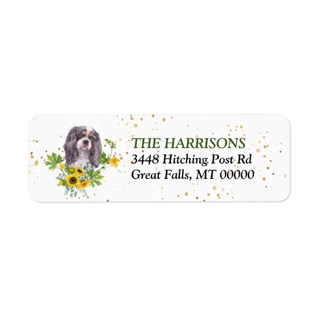 Sonnenblume Eukalyptus King Charles Spaniel  (Vorne)