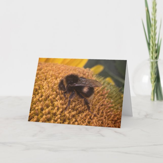 Sonnenblume Feiertagskarte (Vorderseite)