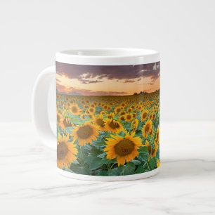 Sonnenblume-Feld in Longmont, Colorado Jumbo-Tasse
