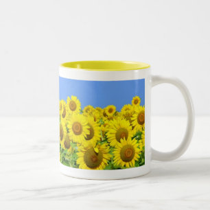 Sonnenblume-Felder Zweifarbige Tasse