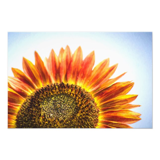 Sonnenblume Fotodruck (Vorne)