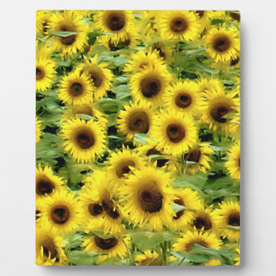 Sonnenblume Fotoplatte