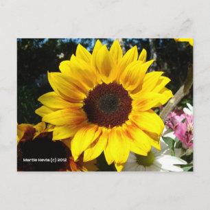 Sonnenblume & Freunde Bouquet - Postkarte