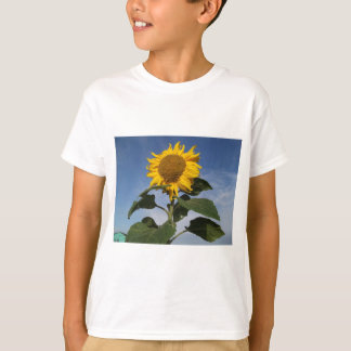 Sonnenblume gegen blauen Himmel T-Shirt