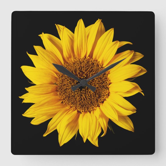 Sonnenblume-Gelb auf Schwarzem - kundengebundene Quadratische Wanduhr (Vorderseite)
