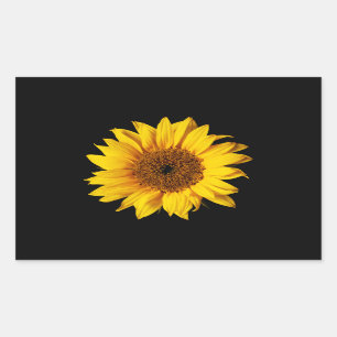 Sonnenblume-Gelb auf Schwarzem - kundengebundene Rechteckiger Aufkleber
