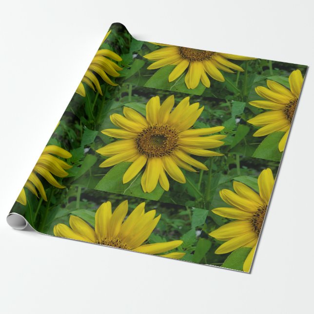 Sonnenblume Geschenkpapier (Ungerollt)