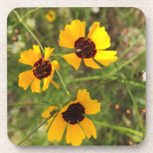 Sonnenblume