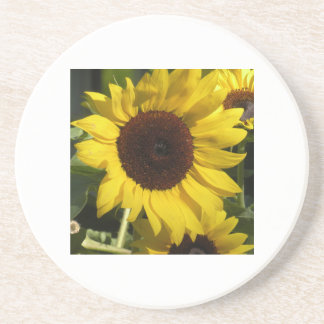 Sonnenblume Getränkeuntersetzer