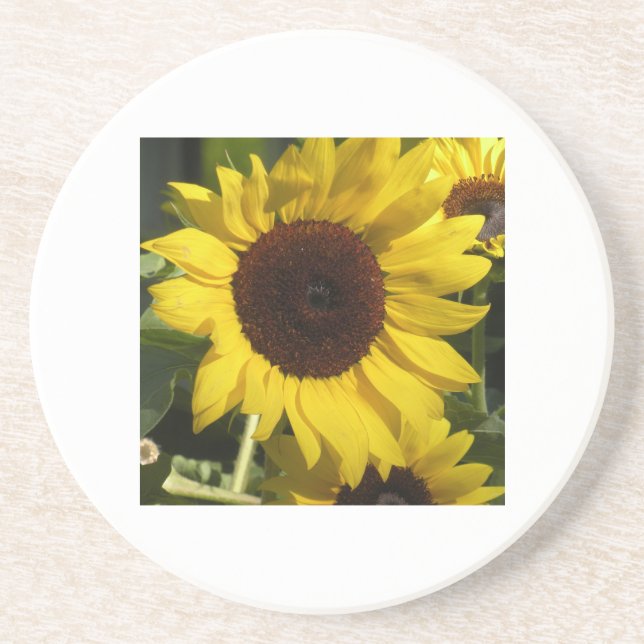 Sonnenblume Getränkeuntersetzer (Vorne)