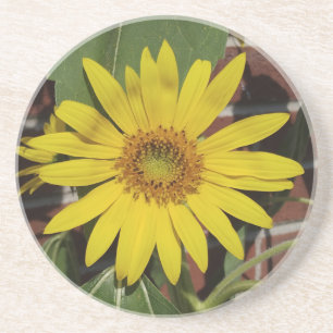 Sonnenblume Getränkeuntersetzer