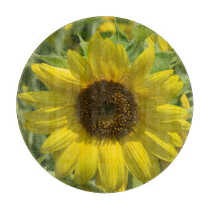 Sonnenblume-Glasschneiden-Brett Schneidebrett