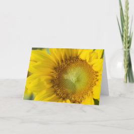 Sonnenblume-Goldschatten Karte