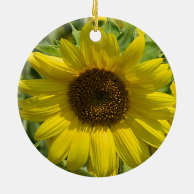 Sonnenblume-Goldverzierung Keramikornament (Hinten)