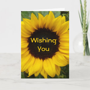 Sonnenblume Grace Karte