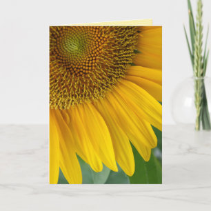 "Sonnenblume" GREETKARTE Karte