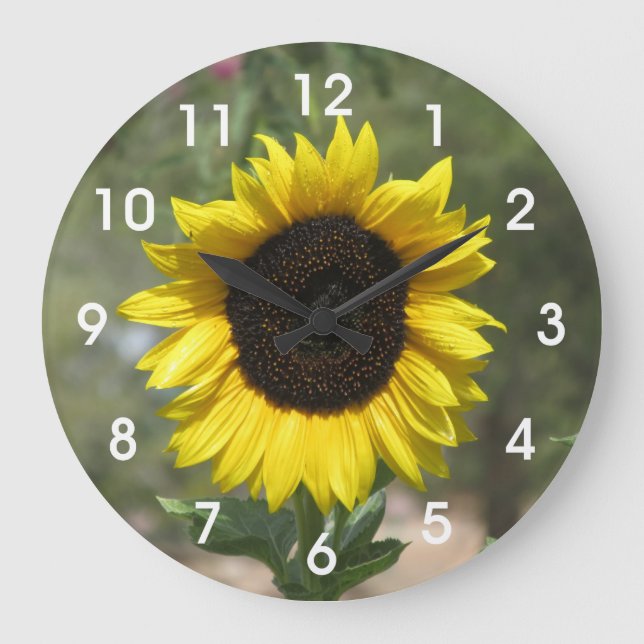 Sonnenblume Große Wanduhr (Vorderseite)
