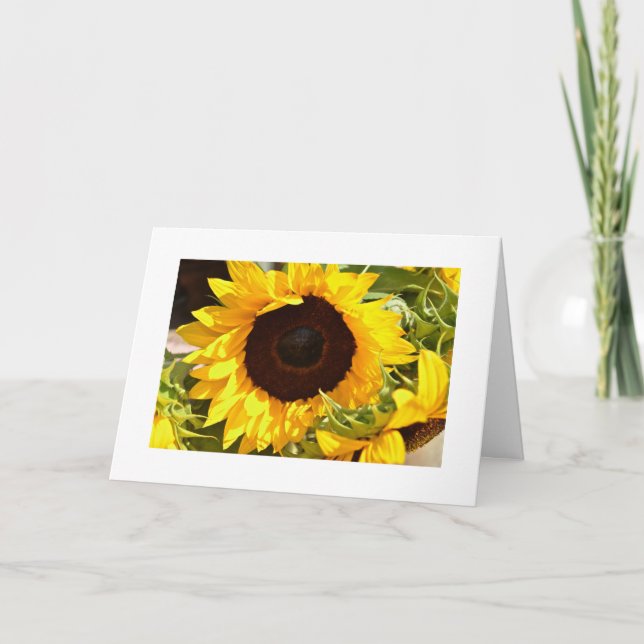 Sonnenblume-Gruß-Karte Karte (Vorderseite)