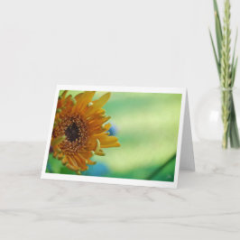 Sonnenblume [Grußkarte] Karte