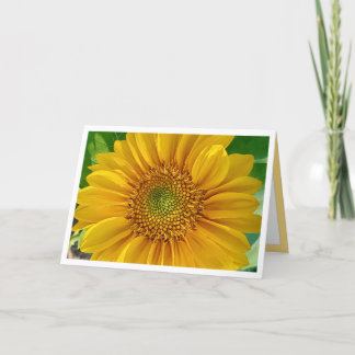 Sonnenblume Happy Birthday Card Karte