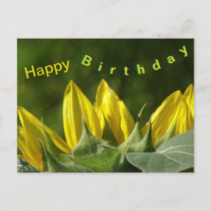 Sonnenblume Happy Birthday Postcard Postkarte