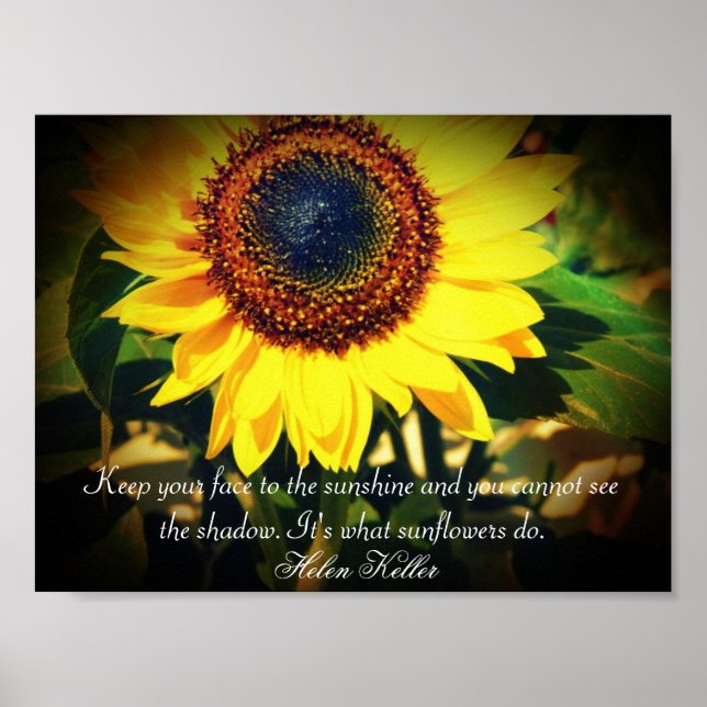 Sonnenblume Helen Keller Zitat: Aufregend Poster (Vorne)