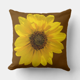 Sonnenblume (Helianthus), von der Sonne beleuchtet Kissen