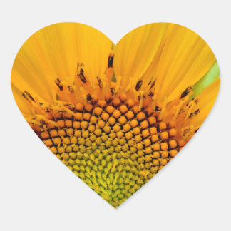 Sonnenblume Herz-Aufkleber