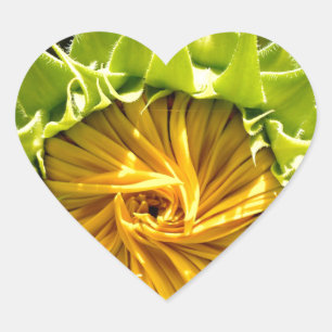 Sonnenblume Herz-Aufkleber