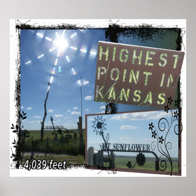 SONNENBLUME - HÖCHSTER PUNKT KANSAS POSTER (Vorne)