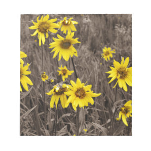 Sonnenblume im Rocky Mountain Notizblock