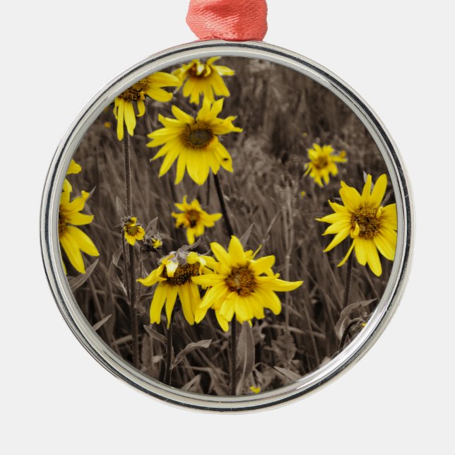Sonnenblume im Rocky Mountain Ornament Aus Metall (Vorne)