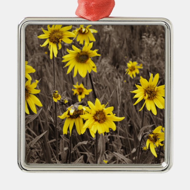 Sonnenblume im Rocky Mountain Silbernes Ornament (Vorne)