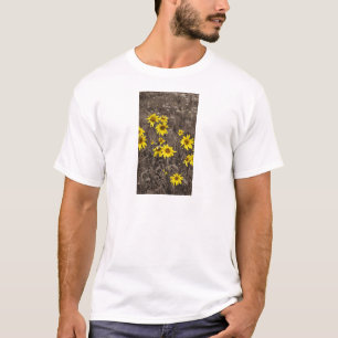 Sonnenblume im Rocky Mountain T-Shirt