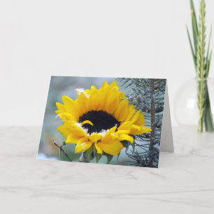 Sonnenblume im Schnee erhalten Brunnen-Karte Karte