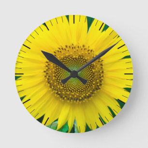 Sonnenblume im Sommer Runde Wanduhr