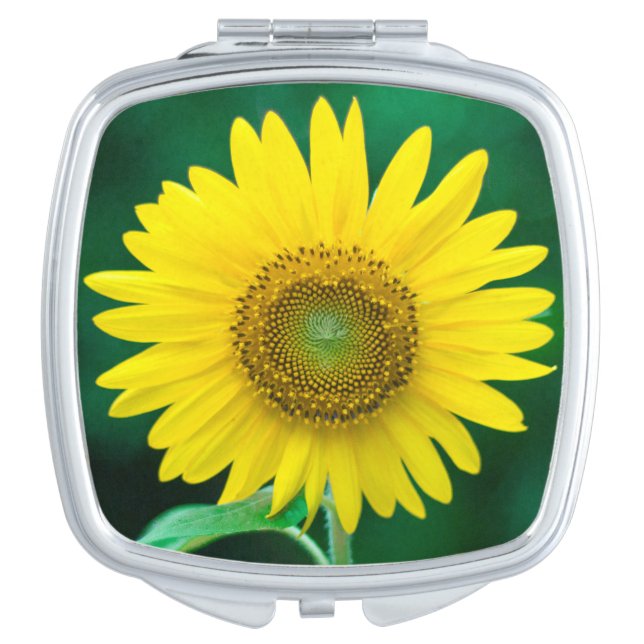 Sonnenblume im Sommer Square Compact Mirror Taschenspiegel (Vorderseite)