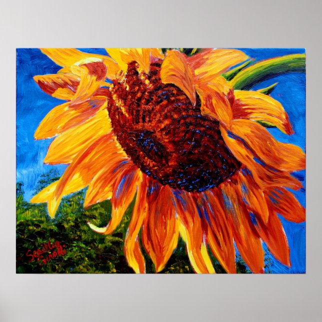 Sonnenblume im Sonnenlicht Poster (Vorne)