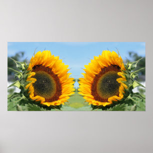 Sonnenblume im Sonnenschein Abstrakt Poster