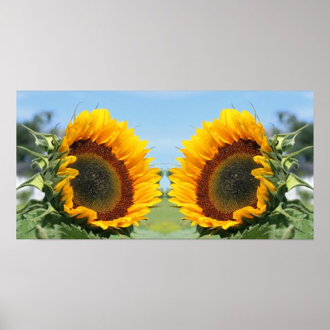 Sonnenblume im Sonnenschein Abstrakt Poster (Vorne)
