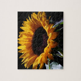 Sonnenblume im Studio 1 Puzzle