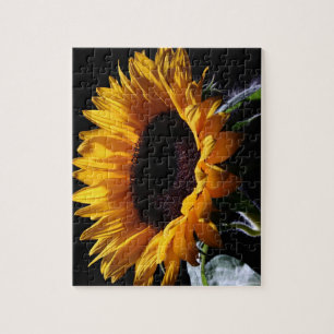 Sonnenblume im Studio 1 Puzzle