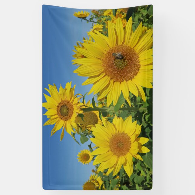 Sonnenblume in blauem Himmel bunt Sommerblüte Banner (Vertikal)