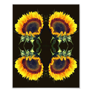 Sonnenblume in der Abstrakten Blume Sonnenschein A Fotodruck