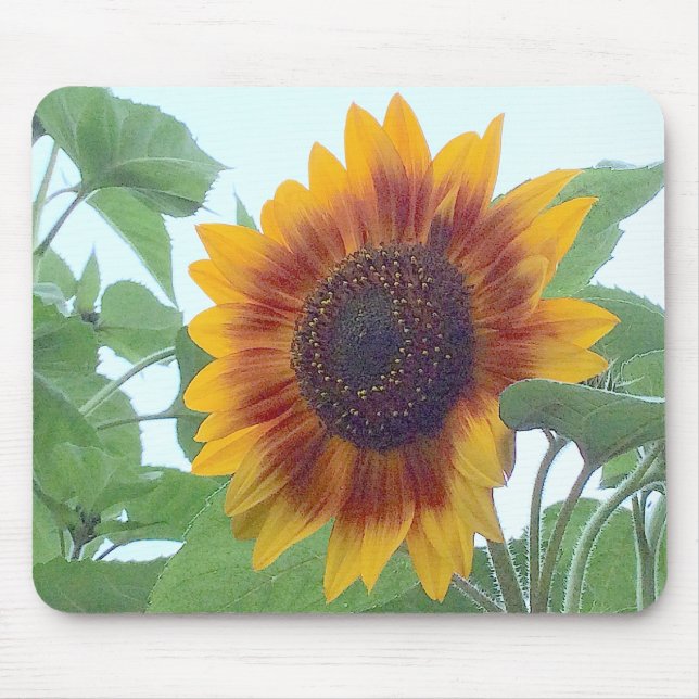 Sonnenblume in einem blauen blauen Himmel — Mousepad (Vorne)