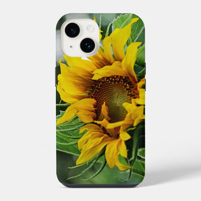 Sonnenblume iPhone Hülle (Rückseite)