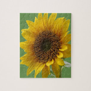 Sonnenblume Jigsaw Puzzle